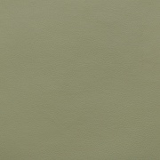 Цвет: Экокожа marvel pistachio