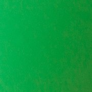 Цвет: Спандекс Зеленый