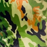 Цвет: Камуфляж Оксфорд