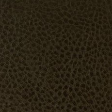 Цвет обивки: Vegas Lite Amber